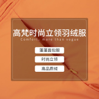 高梵羽绒服女短款小个子2019新款 韩版宽松立领冬季外套女潮