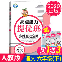 2020春亮点给力提优班多维互动空间语文六年级下册小学语文6年级下册同步教辅资料练习册习题集学生资料书JSD