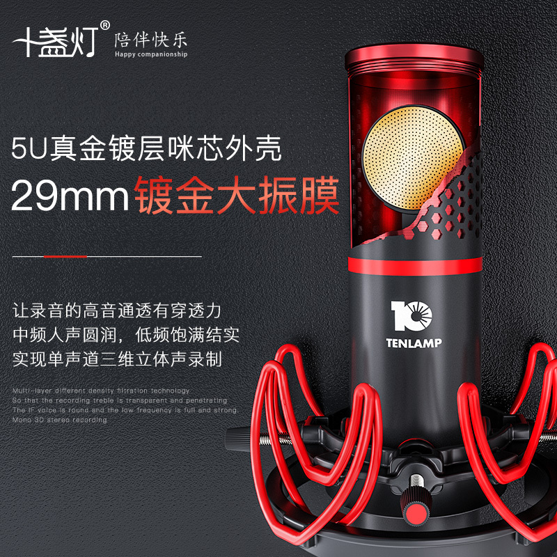 十盏灯P10-G4网红直播设备声卡套装手机唱歌专用全套主播喊麦外置装备大振膜电容麦克风电脑台式录音抖修音k歌跑调神器快手