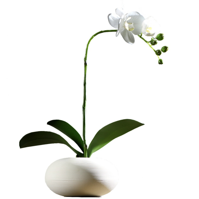 新中式陶瓷花瓶白色蝴蝶兰套装仿真花艺客厅假花绢花玄关装饰摆件 三维工匠 白色蝴蝶兰套装大号;如图一套高清大图