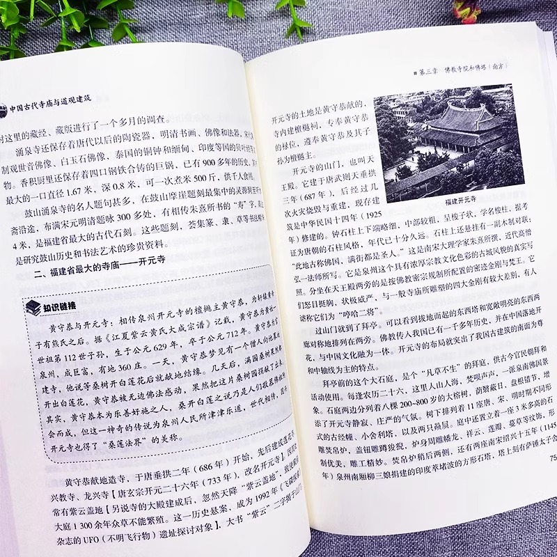 [正版]中国古代寺庙与道观建筑 王俊原著 中国特色建筑艺术文化历史插图版传统历史类研究建筑设计书籍 佛道教寺庙建筑宗教高清大图