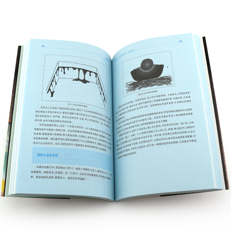 [正版]心理画外音 跨越10年的心理咨询个案 严文华 社会心理学与生活 心理咨询与手记 华东师范大学 一幅图画一个故事高清大图