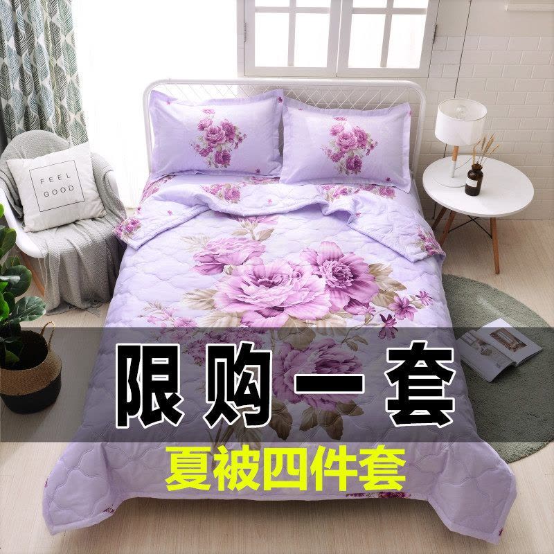 夏天空调被夏凉被双人三四件套可水洗机洗夏季单人宿舍春秋薄被子图片