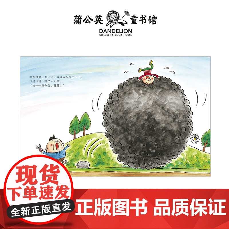 [央视网]一看再看蒲公英精选图画书系列 全5册 既有脑洞大开的幽默故事又有温柔动人的情感故事从不同维度描绘儿童的生活 P高清大图