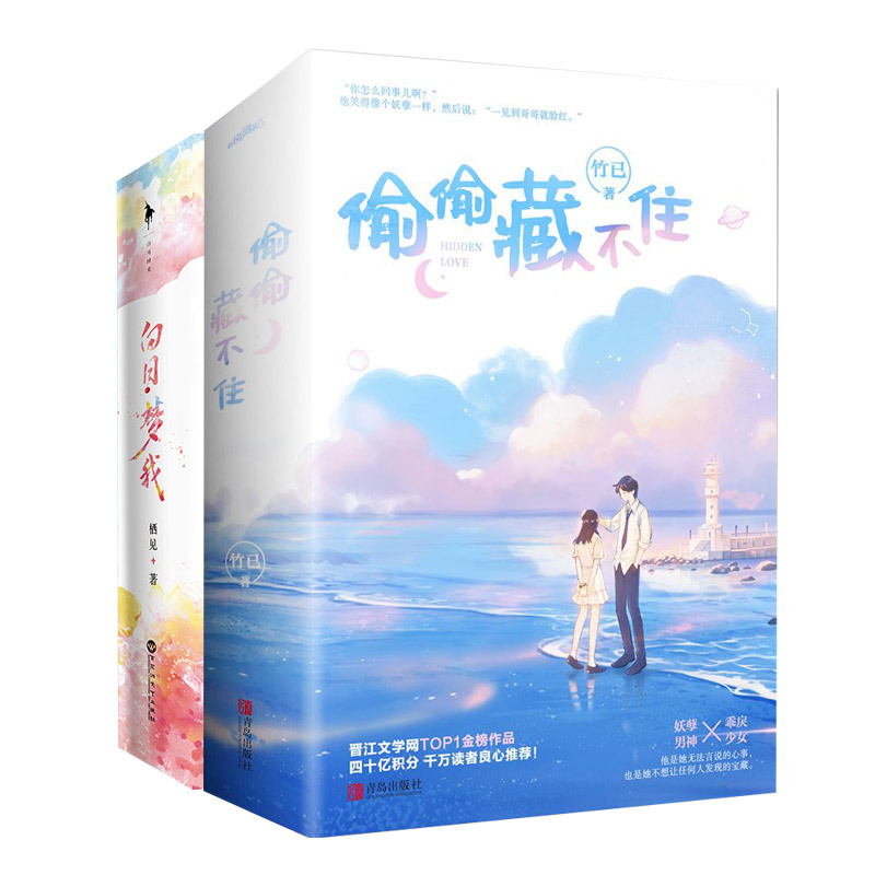 正版 白日梦我 栖见+偷偷藏不住 竹已(共2套4册) 晋江文学城 青春文学校园言情小说 新增番外 含校园万花筒书签明信片