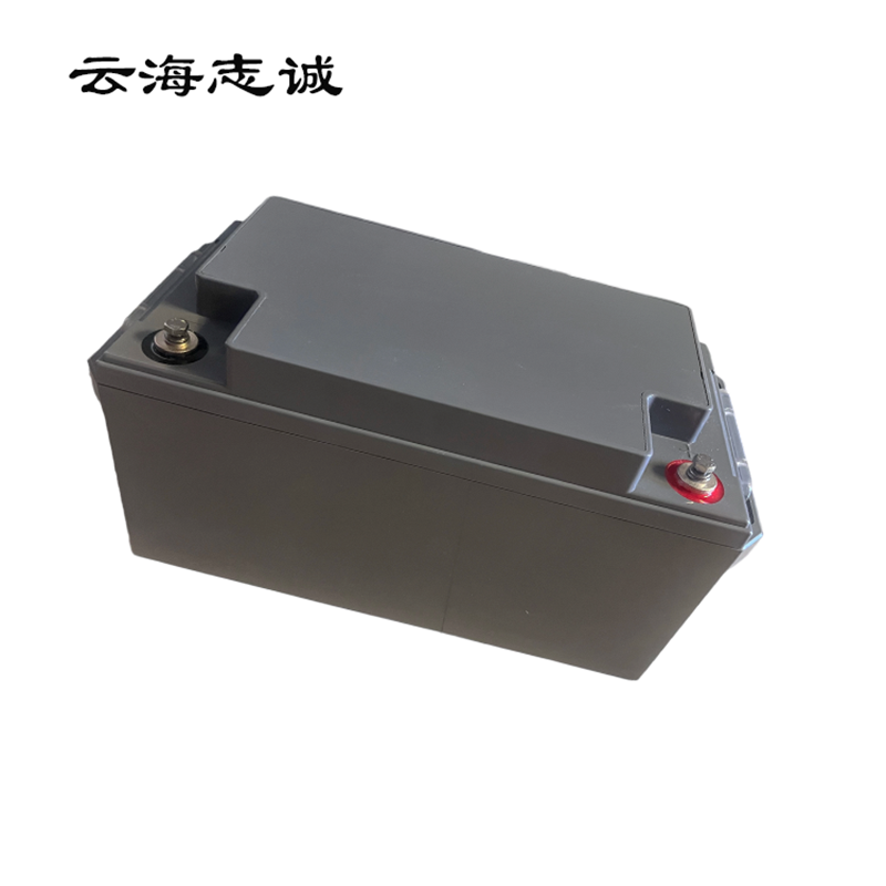 阀控式密封铅酸蓄电池 NP7-12 1只高清大图