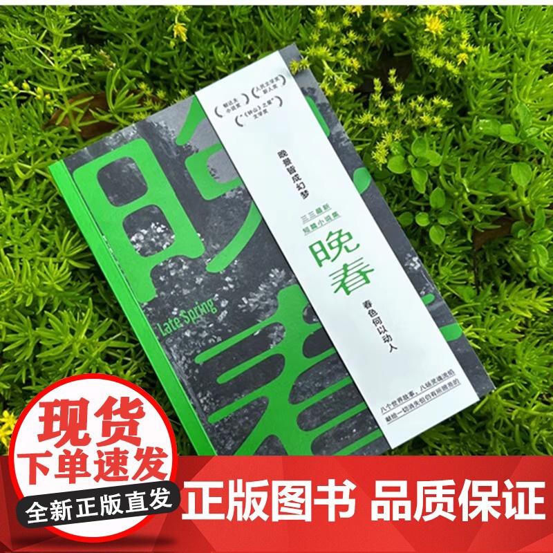 正版 晚春 三三 现当代文学小说集 八个故事 探讨中国式家庭伦理关系 短篇小说当代文学书籍 儿子走入父亲再婚的家庭高清大图