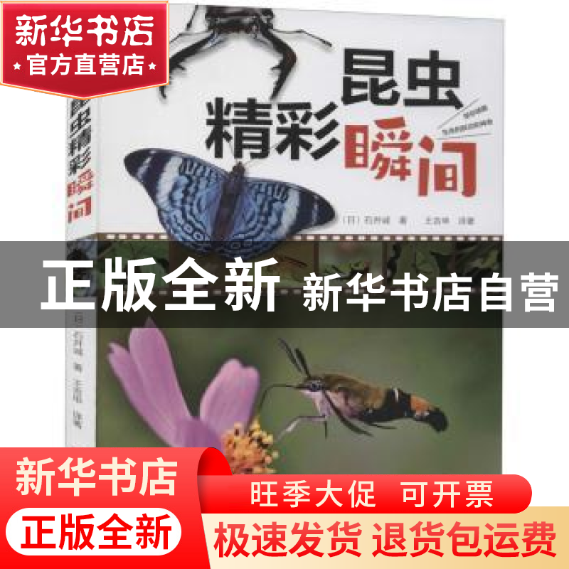 正版 昆虫精彩瞬间 (日)石井诚著 河南科学技术出版社 9787572504