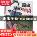 昆虫精彩瞬间