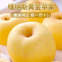 [西沛生鲜][礼盒装]维纳斯黄金苹果 4.5斤 山东水果新鲜整箱当季正宗时令黄胖子甜丑苹果