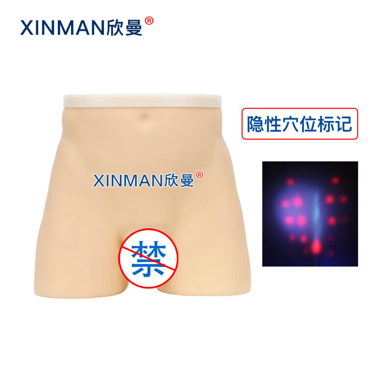 欣曼科教 针灸臀部训练模型 臀部针灸针刺扎针练习模型XM-ZC02高清大图