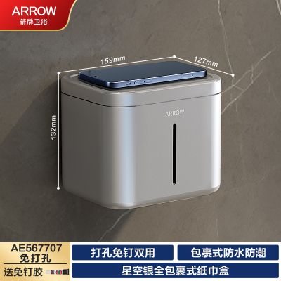 箭牌卫浴(ARROW)毛巾架银色轻奢浴巾架免打孔壁挂式毛巾架浴室置物架卫浴挂衣钩浴室卫生间置物架三角篮 【星空银】厕纸架AE567707 送免钉胶