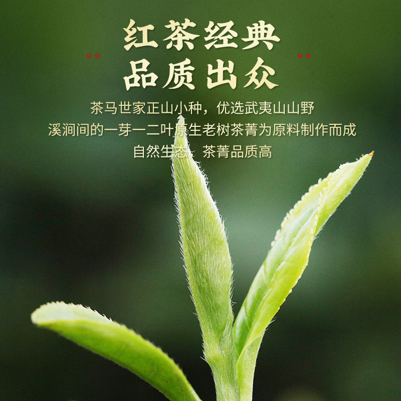 茶馬世家 武夷山正山小种 50g高清大图
