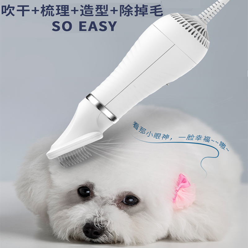 宠物吹风机狗狗吹毛小型犬专用猫咪洗澡吹干拉毛机烘干吹水机