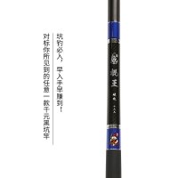 本汀棍王碳素材质鱼竿19调战斗竿5.4米超硬超轻台钓竿手竿钓鱼杆特价