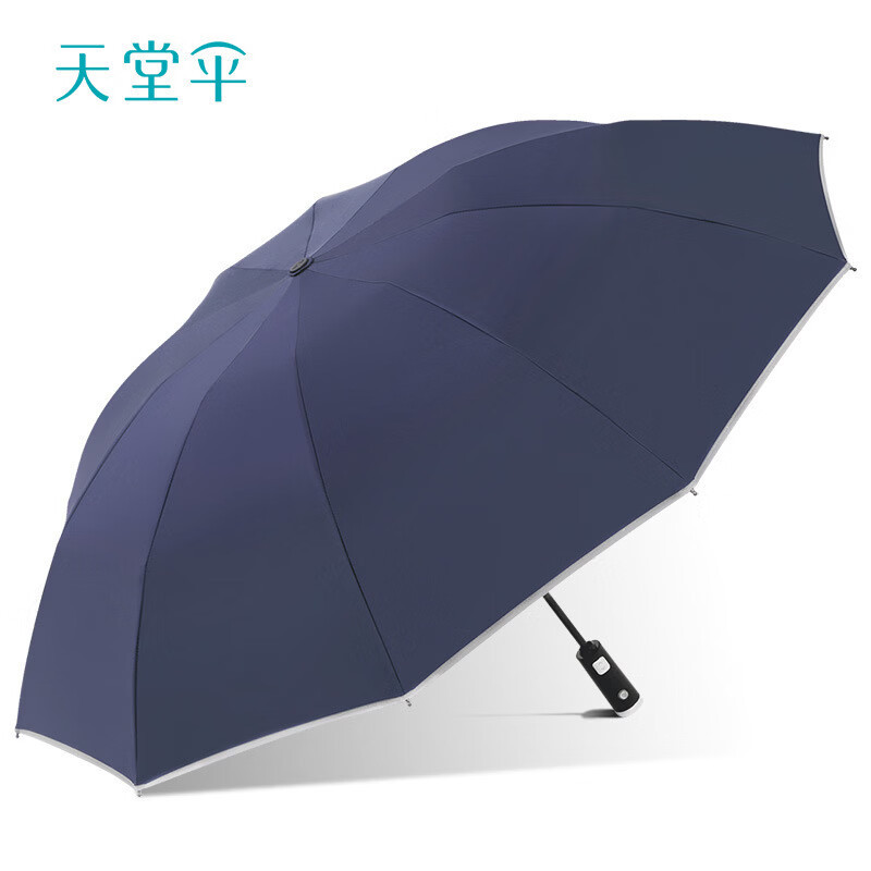 天堂伞便携全自动商务雨伞夜行手电筒反向伞10骨 31140E光线黛蓝色高清大图