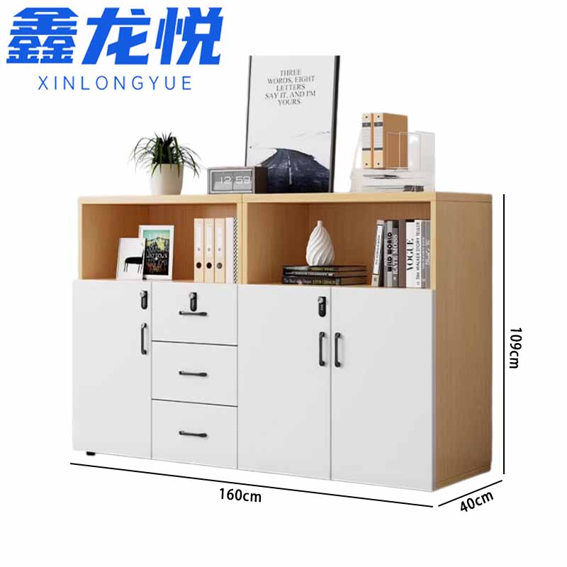 鑫龙悦文件柜354高清大图
