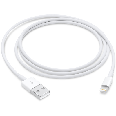 Apple 原装 Lightning/闪电转 USB 连接线 (1 米)