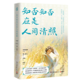 知否知否应是人间清照