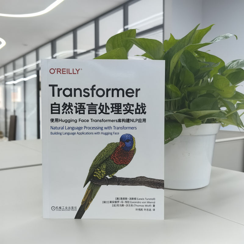 TRANSFORMER自然语言处理实战:使用HUGGING FACE TRANSFORMERS库构建NLP应用高清大图