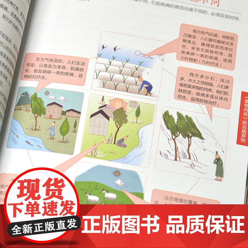 图解黄帝内经极简养生速查全书 陈飞松 江苏凤凰科学技术出版社 正版书籍高清大图