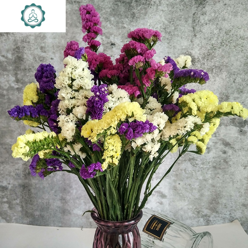 满天星家居摆设大束鲜花水养 封后 红黄粉 水晶草[3份一起拍]发三束