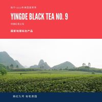 星池妙茶觉巾帼英红国家地理标志产品英红九号英德红茶有机春茶浓郁花香始于1959年皇家茶可做奶茶底出口红茶叶80g