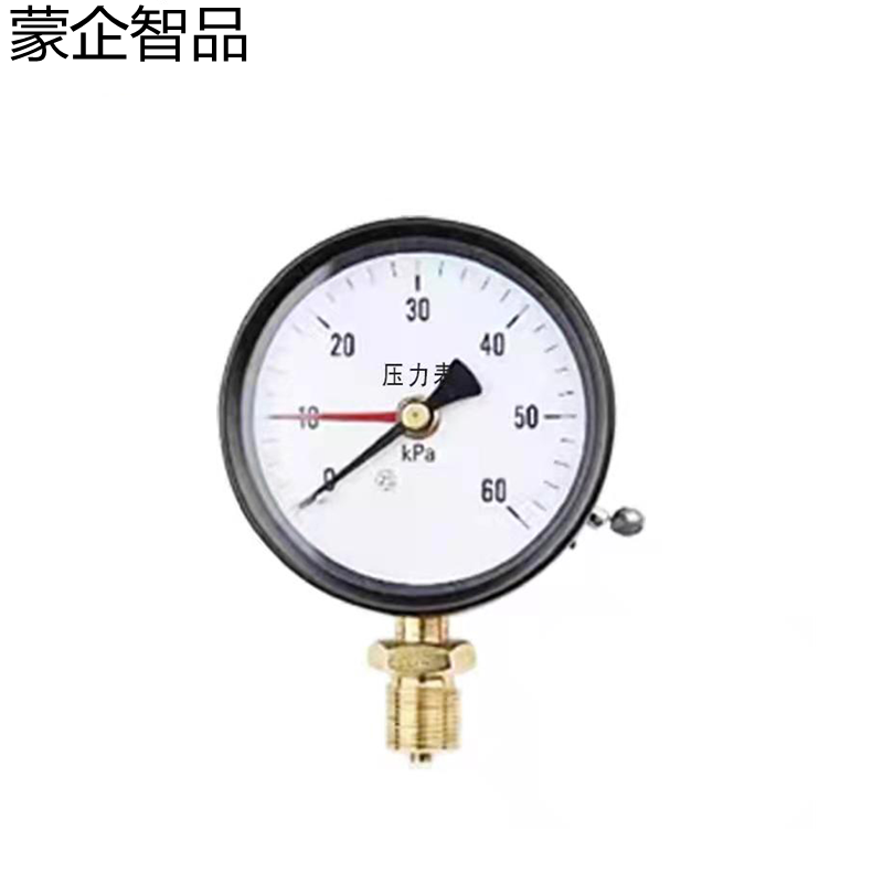 蒙企智品 压力表YH100-60/块