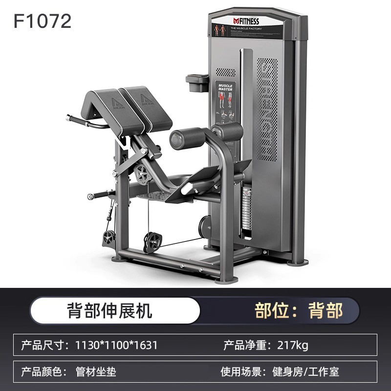 亿迈商用必确力量器械坐式推胸器仰卧举肩高低拉背健身房器材-F1072背部伸展机
