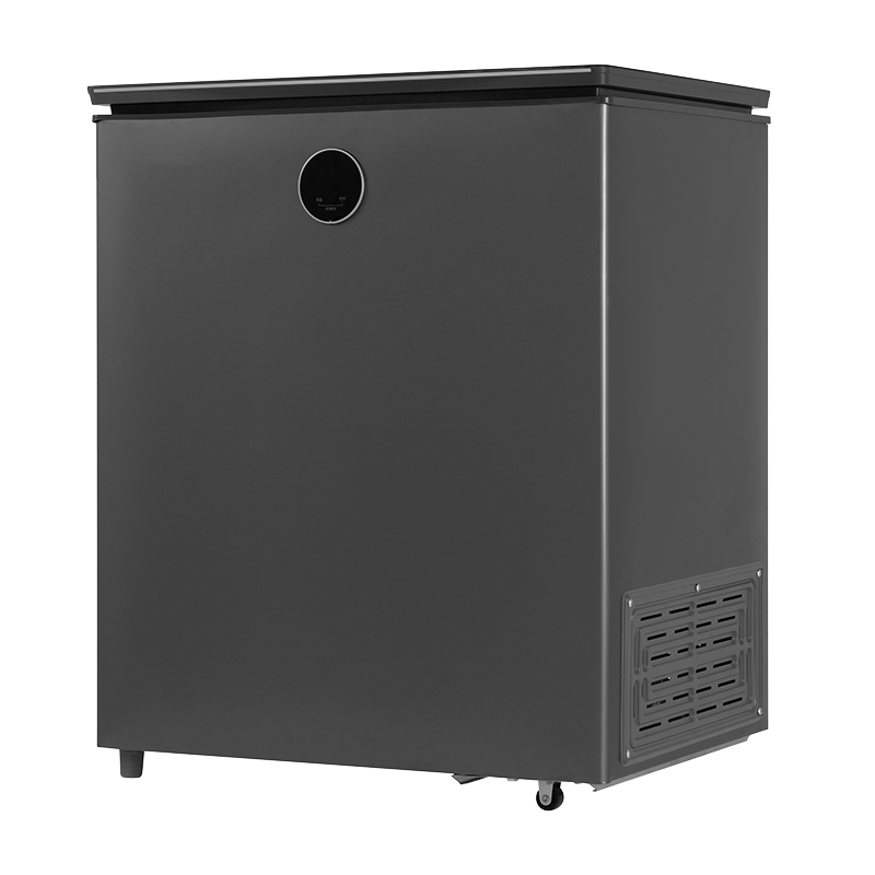 容声冷柜BD/BC-145ZEBAL/RX婵娟灰