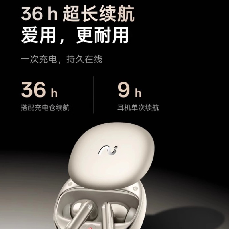 科大讯飞AI会议耳机iFLYBUDS Pro3无线蓝牙智能,钛金高清大图