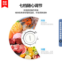 康佳(KONKA)206升 双门双温冷柜 小型家用卧式冰箱 顶开式保鲜柜 家用商用冰柜BCD-206DZP