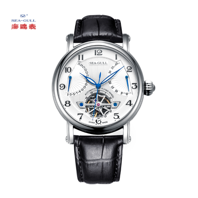 海鸥表(SEAGULL)手表 运动休闲机械表 男表 飞轮系列自动机械 男士手表 819.317高清大图