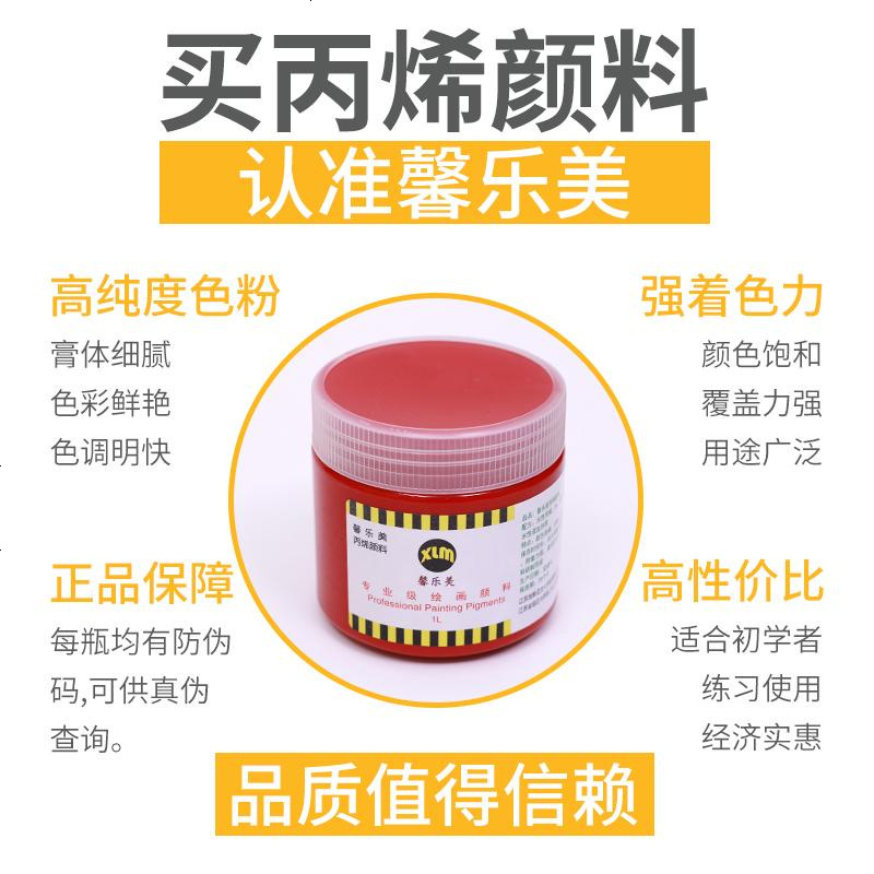 丙烯颜料套装纺织颜料防水画鞋diy手绘涂鸦材料墙绘专用彩 常用12色 100毫升