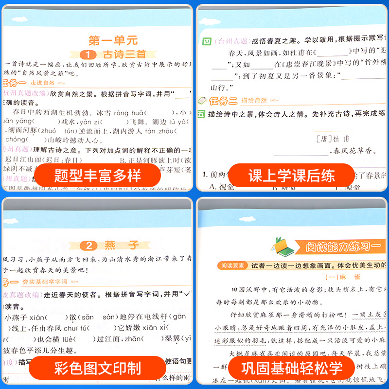 科学 教科版 三年级下 [正版]浙江专版2024课时达标训练一二三四年级五年级六年级上册下册语文数学英语科学全套人教教科高清大图
