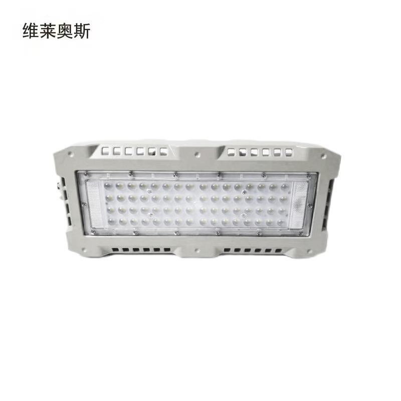 维莱奥斯 TGD1003-G LED投光灯110W 220V IP66 2700-7000K高清大图