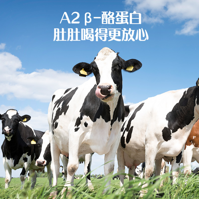 认养一头牛A2β-酪蛋白有机儿童纯牛奶200ml*10盒*2整箱家庭装 亲和宝宝小肚肚 有机更安全