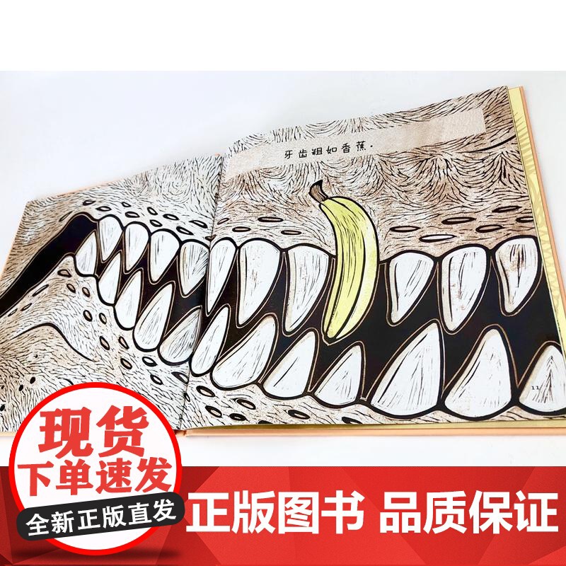 霸王龙到底有多高高清大图