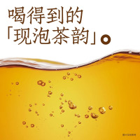 元气森林出品醇香乌龙燃茶无糖解腻乌龙茶饮料500mL×15瓶整箱