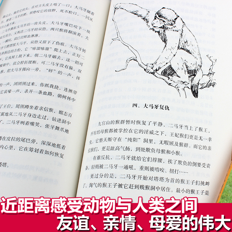 葫芦弟弟 正版 沈石溪动物小说全集正版全套8册 沈石溪的书全系列 中外动物小说精品(第四辑)三四五六七年级课外阅读书籍儿