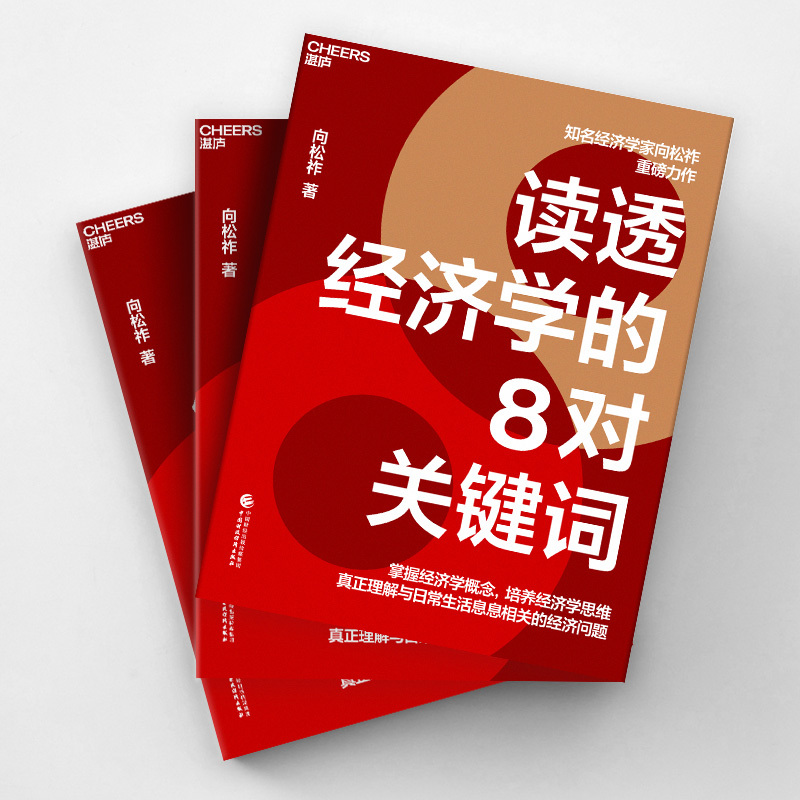 [正版]湛庐读透经济学的8对关键词 经济学家向松祚力作 普通大众的经济学入门书 一本书助你快速掌握经济学概念 经济理