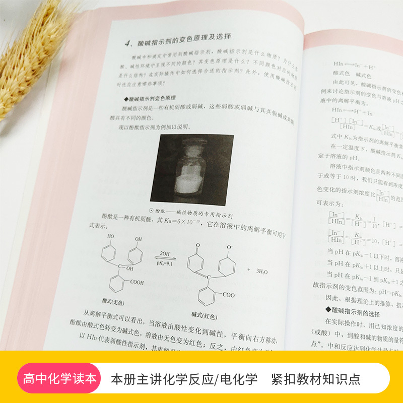 高中通用 [正版] 高中化学读本3 中小学学科文化丛书 化学反应离子平衡电化学基础 老师备课学生拓展高中一二三年级化学课
