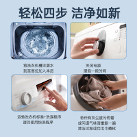 兰家洗衣机内内筒清洗剂全自动滚筒洗衣机去污清洗剂家用清洗清洁460ml*2瓶