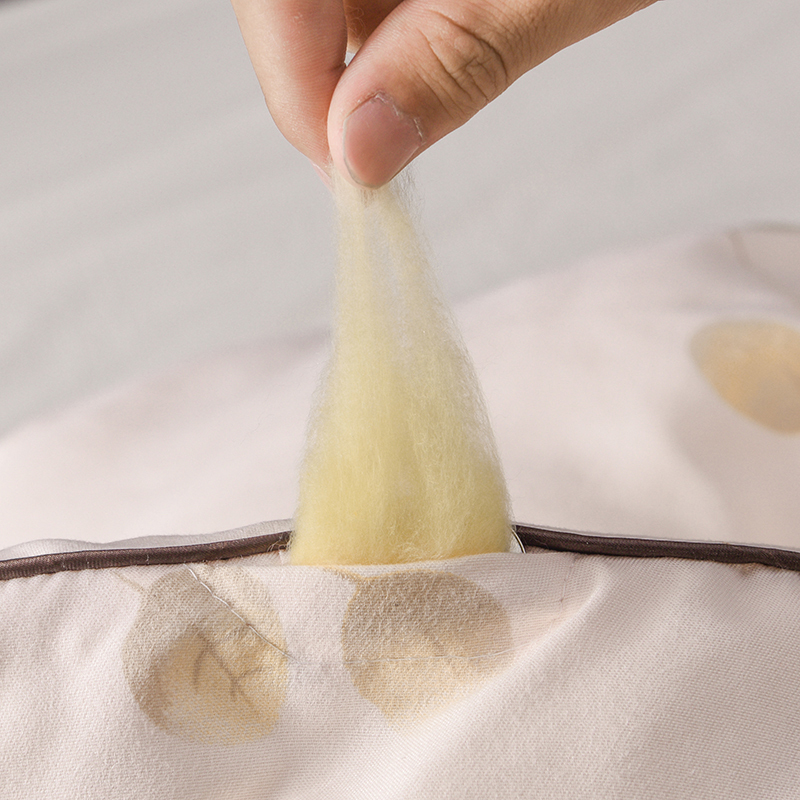 凤倪正品黄金蚕丝被单双人天然桑蚕丝全面保暖冬被立体被褥