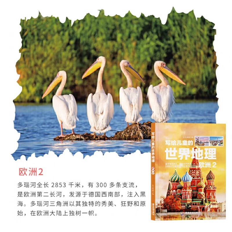 [醉染正版]写给儿童的世界地理 全套8册6-8-12岁中小学生课外阅读书籍写给儿童的地理百科全书科普类书籍少儿读物小学生高清大图
