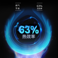 TCL 燃气灶天然气灶具煤气灶嵌入式单灶天然气灶双眼灶台嵌两用天燃气灶双灶炉具炉灶台式熄火保护单灶具501B-A