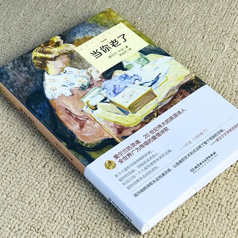 [正版]当你老了叶芝诗选诗集外国诗歌诺贝尔文学奖书系北京理工大学出版社叶芝抒情诗选 爱情诗歌集世界文学书籍gq高清大图