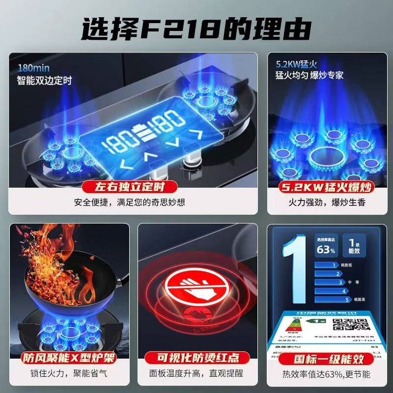 志高(CHIGO)F218双灶眼燃气灶(液化气)4.8KW九腔猛火左右独立定时 台式嵌入式两用
