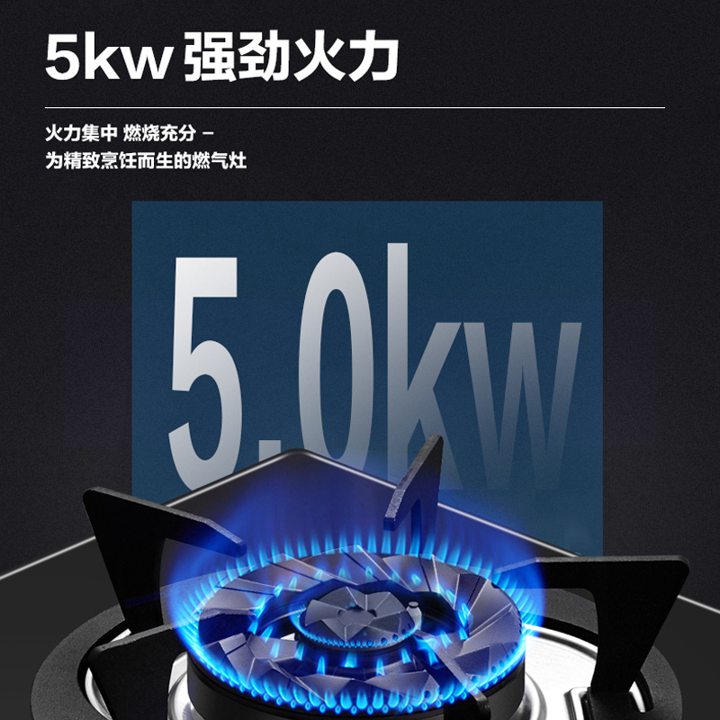 [门店同款]樱花(SAKURA)燃气灶一级能效节能 4.5KW火力灶 台嵌两用双灶防爆灶具JZY-Y9204液化气高清大图