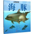 动物家庭：海豚